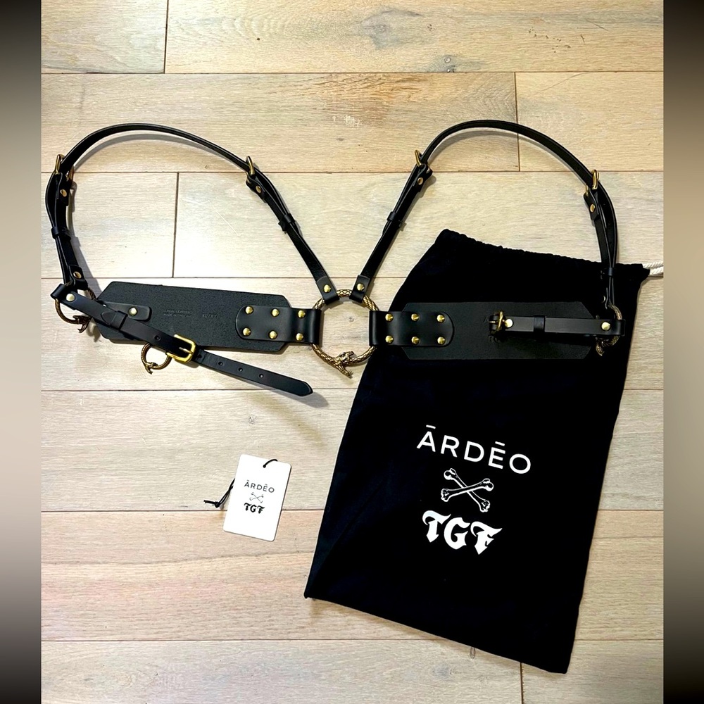 Ārdēo studios X TGF Ouroboros high waisted brass harness